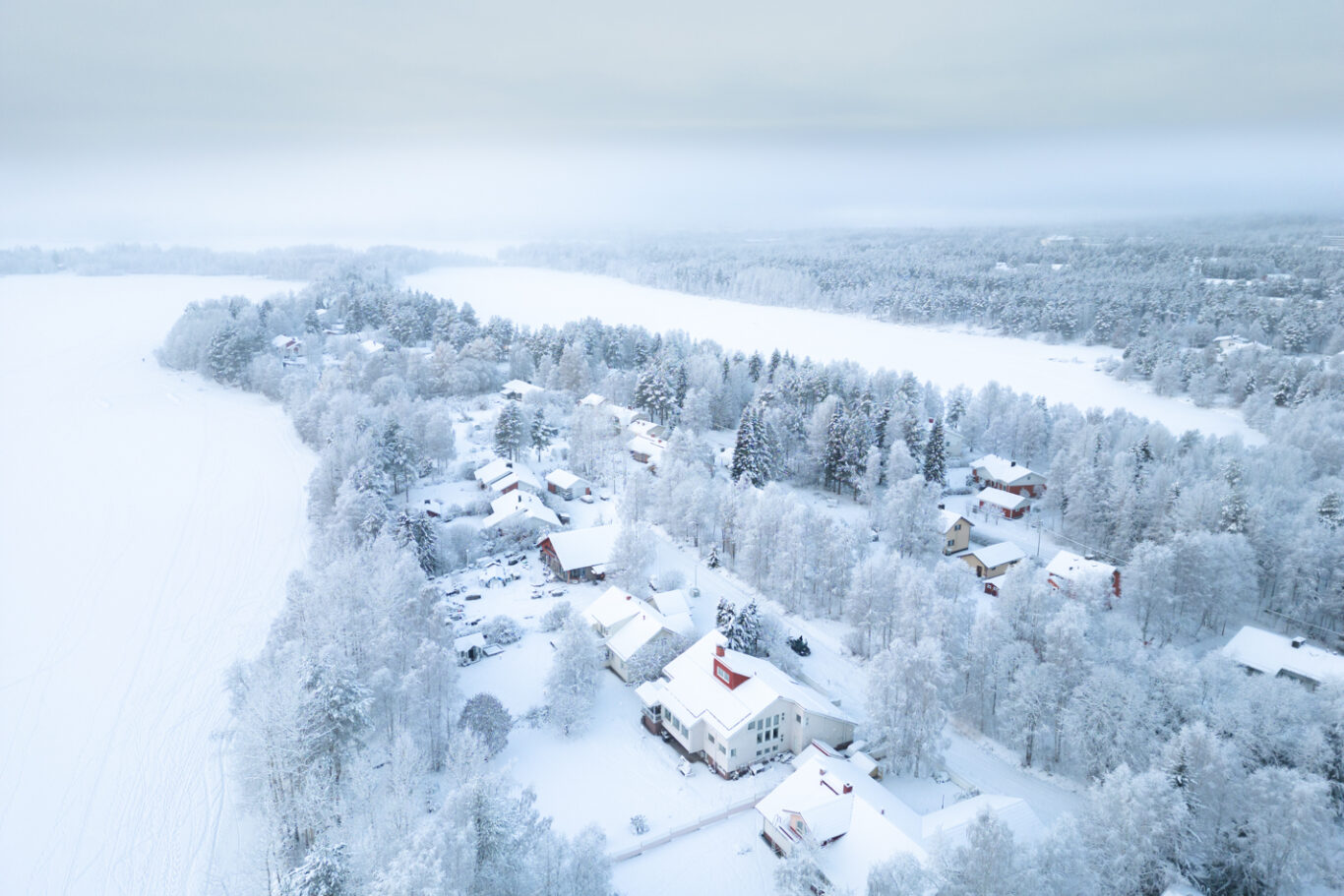 Snow-covered fells and pine forest near Levi during January holidays in Lapland