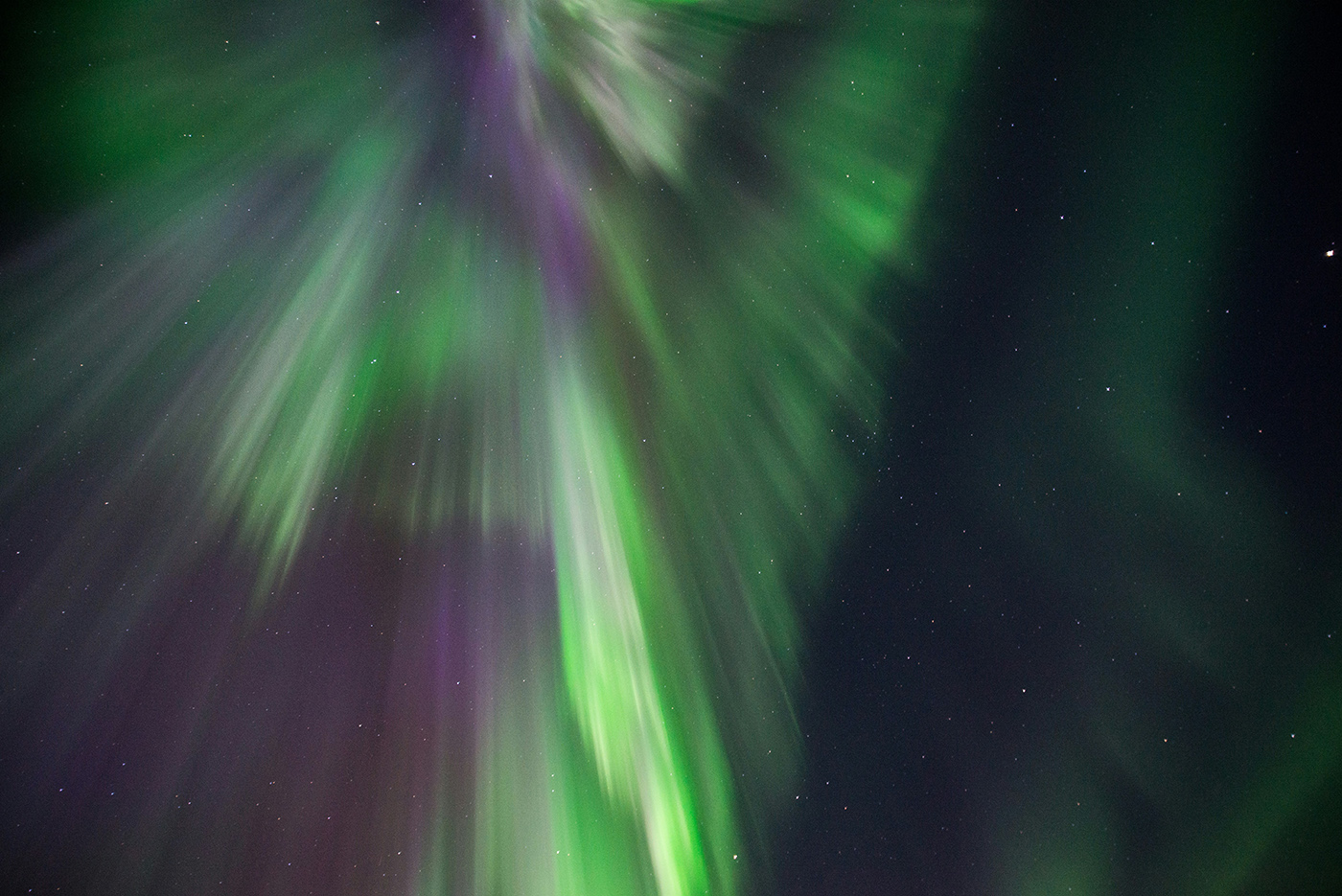Aurora borealis arching in green and violet over a snow-covered spruce forest near Levi during peak northern lights season in Finnish Lapland.