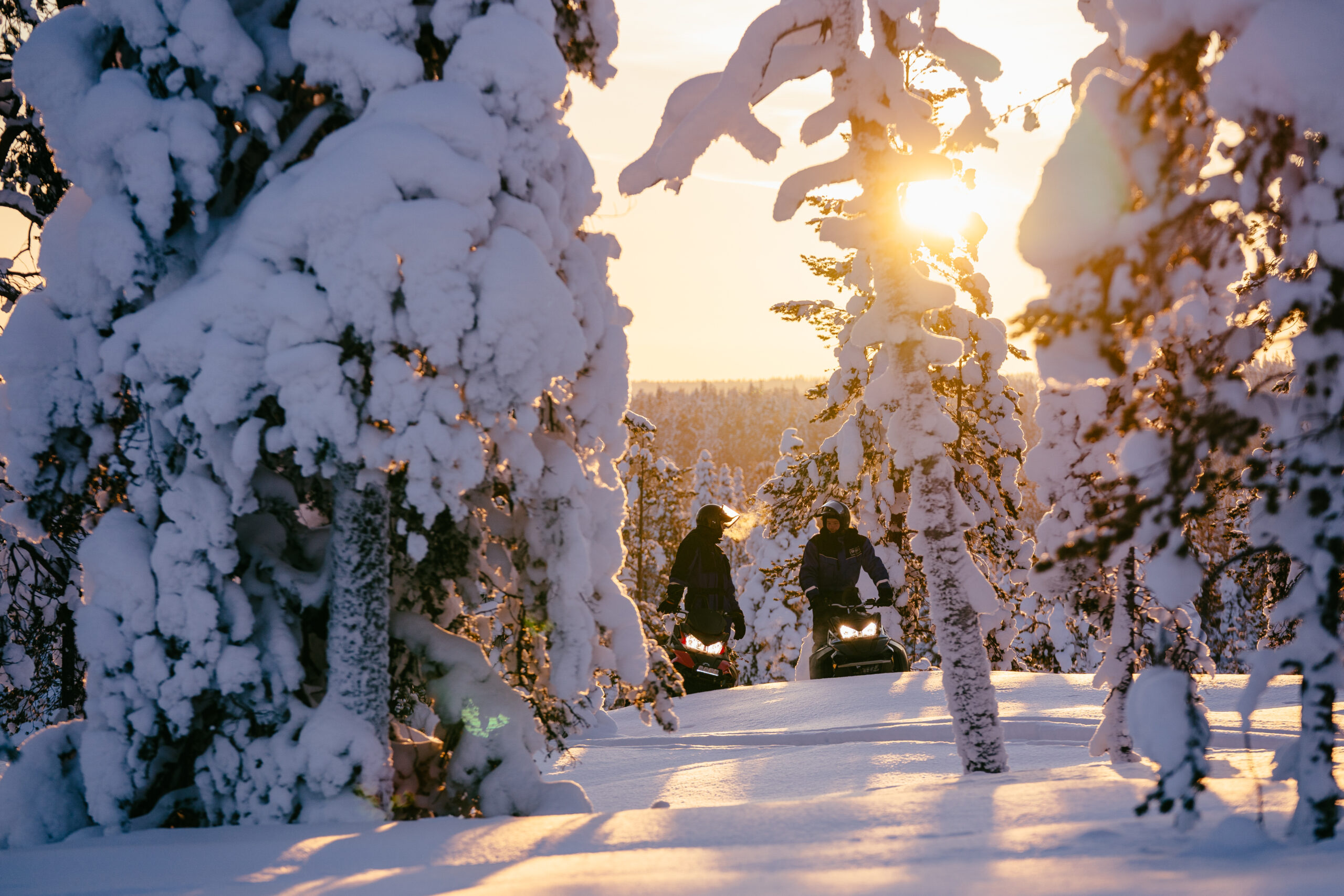 Snow-covered cabin terrace and forest in Levi during February holidays in Lapland