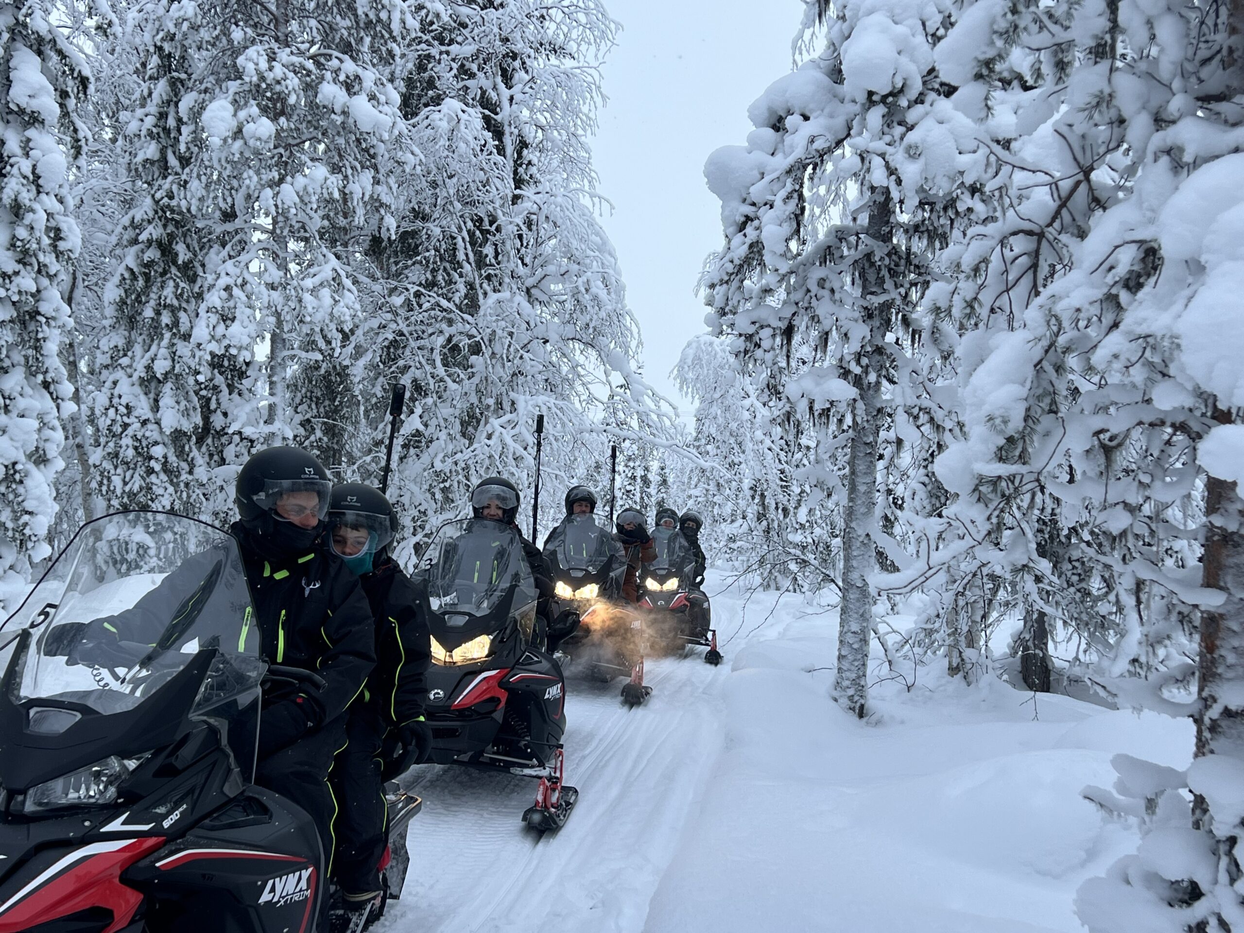 Snowmobile safaris - Aavalevi